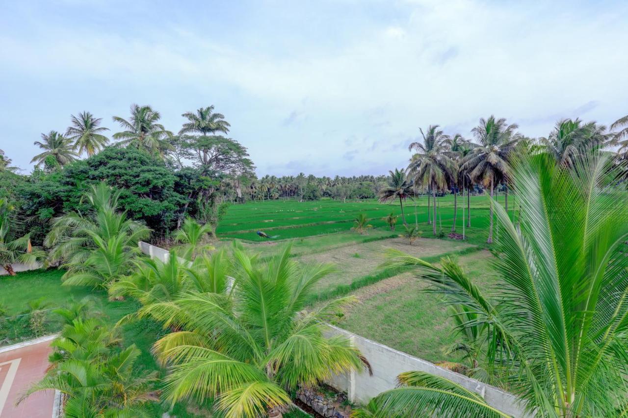 Brindavan Garden Resort & Spa Krishnarajasagara 外观 照片