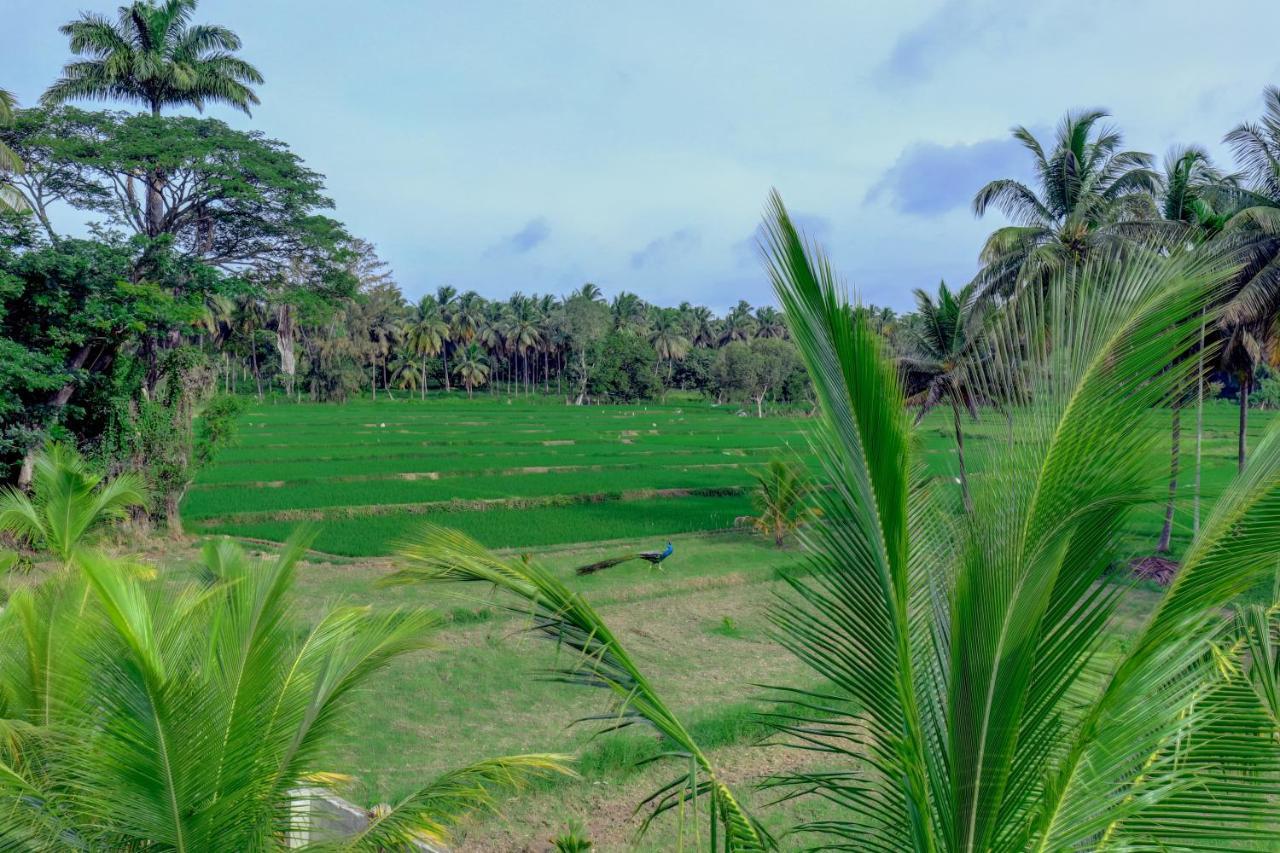 Brindavan Garden Resort & Spa Krishnarajasagara 外观 照片
